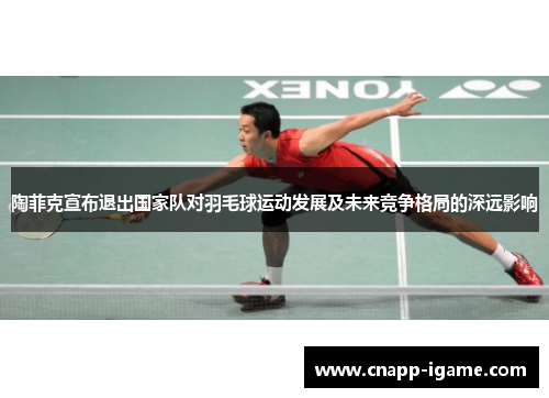 陶菲克宣布退出国家队对羽毛球运动发展及未来竞争格局的深远影响 陶菲克宣布退出国家队对羽毛球运动发展及未来竞争格局的深远影响