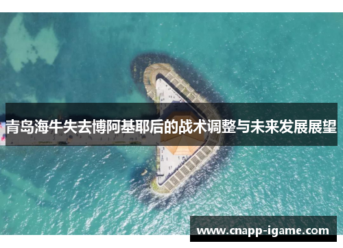 青岛海牛失去博阿基耶后的战术调整与未来发展展望